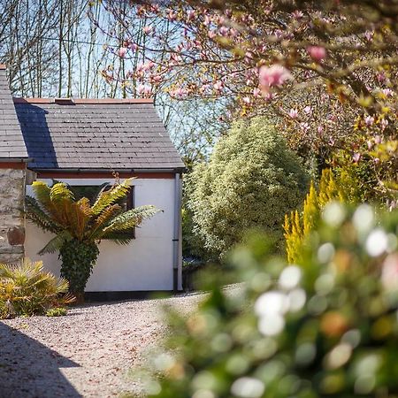 The Snug At Cornish Barn Holidays 特鲁罗 外观 照片