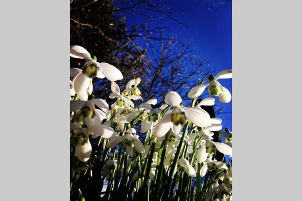 The Snug At Cornish Barn Holidays 特鲁罗 外观 照片